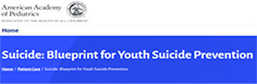 AAP - Suicide: Blueprint for Youth Suicide Prevention