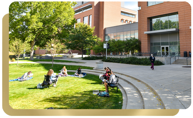 Group of student outdoors sitting on grass and reading