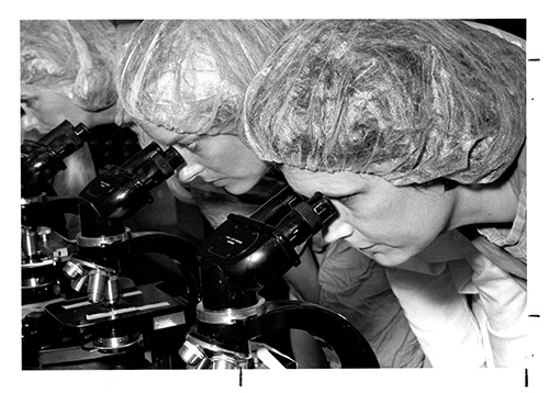 1986 Students at Microscopes